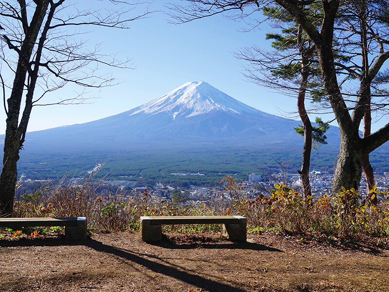 展望台からの富士山の画像