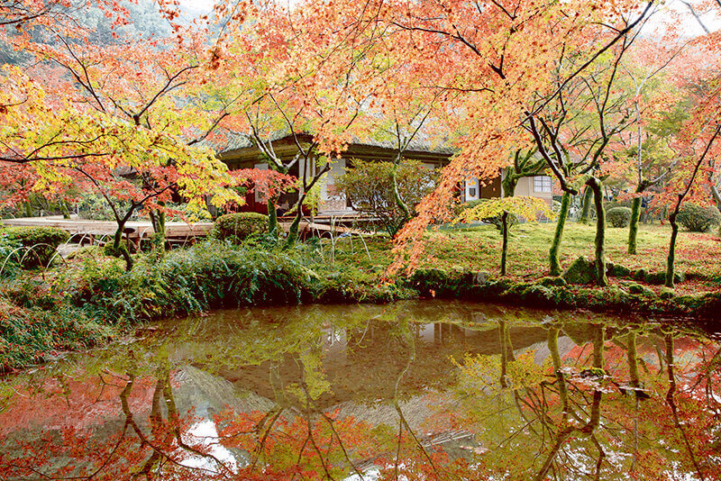 九年庵 紅葉