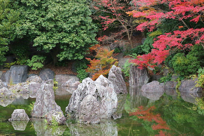 万博記念公園内・日本庭園