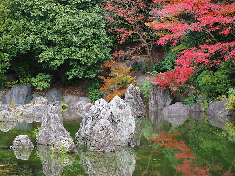万博記念公園内・日本庭園