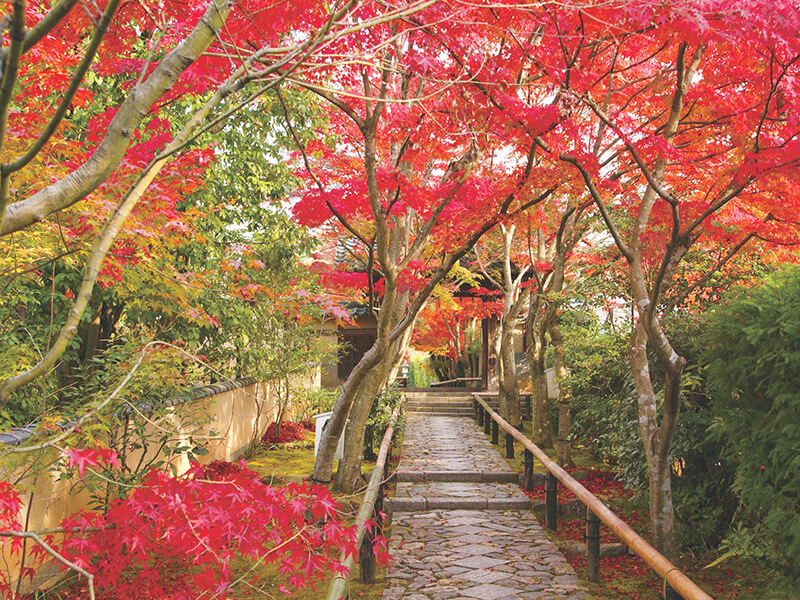 光悦寺