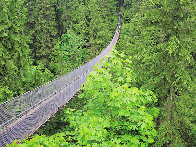 キャピラノ吊り橋