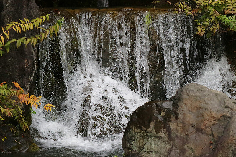万博記念公園内・滝