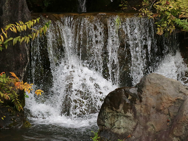 万博記念公園内・滝