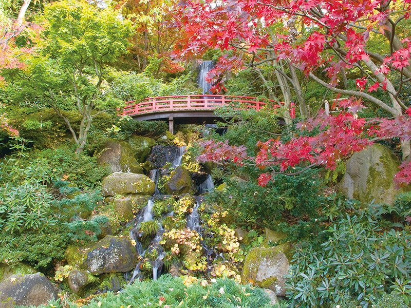 藤田記念公園の滝と橋