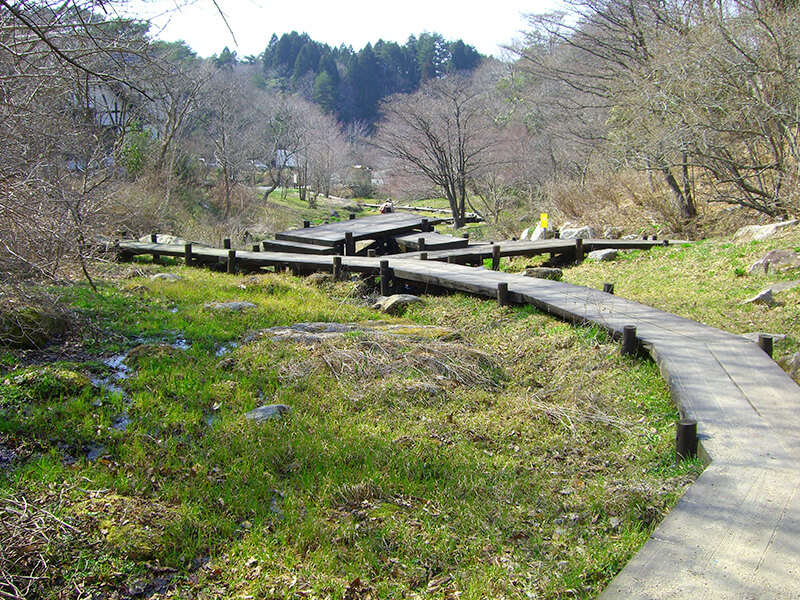 六甲高山植物園