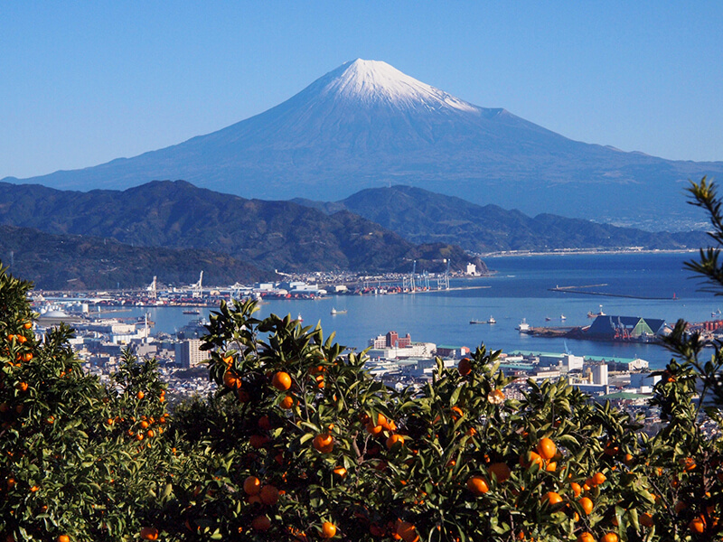 日本平からの富士山