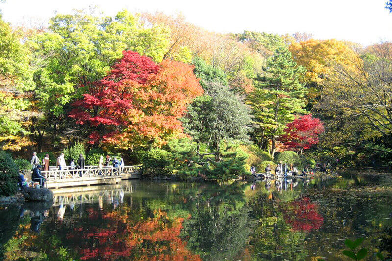 秋の有栖川公園