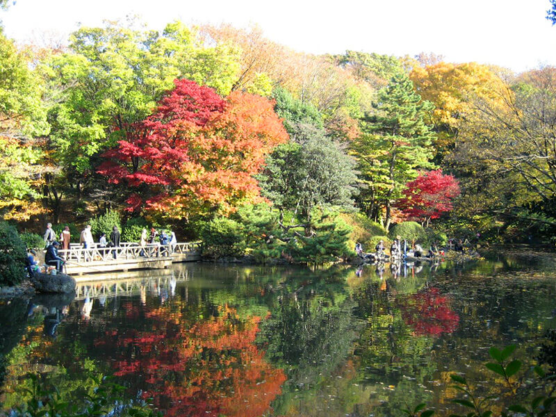 秋の有栖川公園