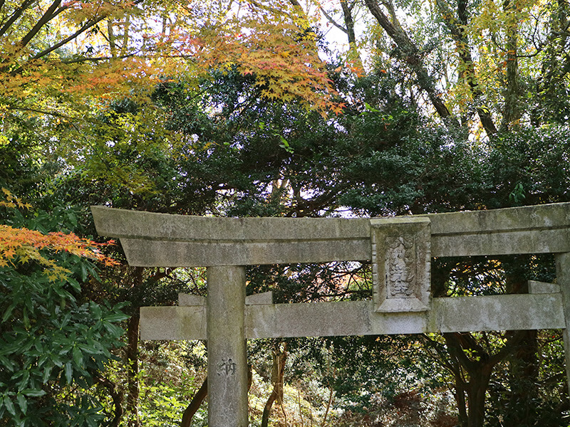 龍光寺