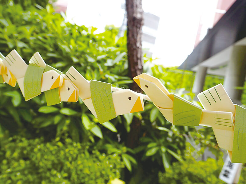 鳩のおみくじ