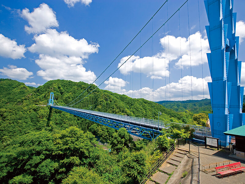 竜神大吊橋
