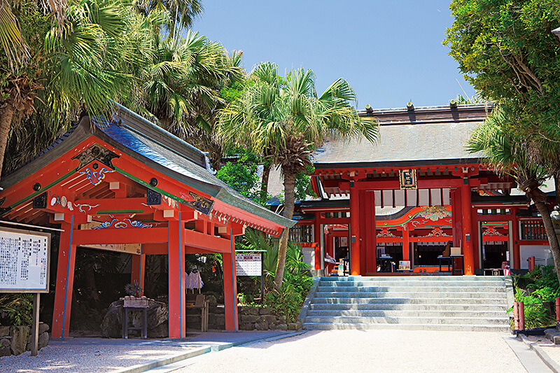 青島神社と南国風植物