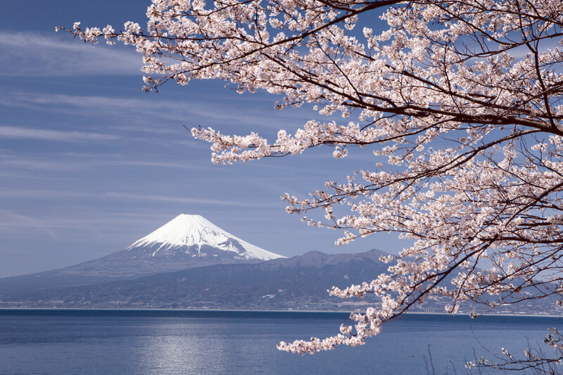 富士山