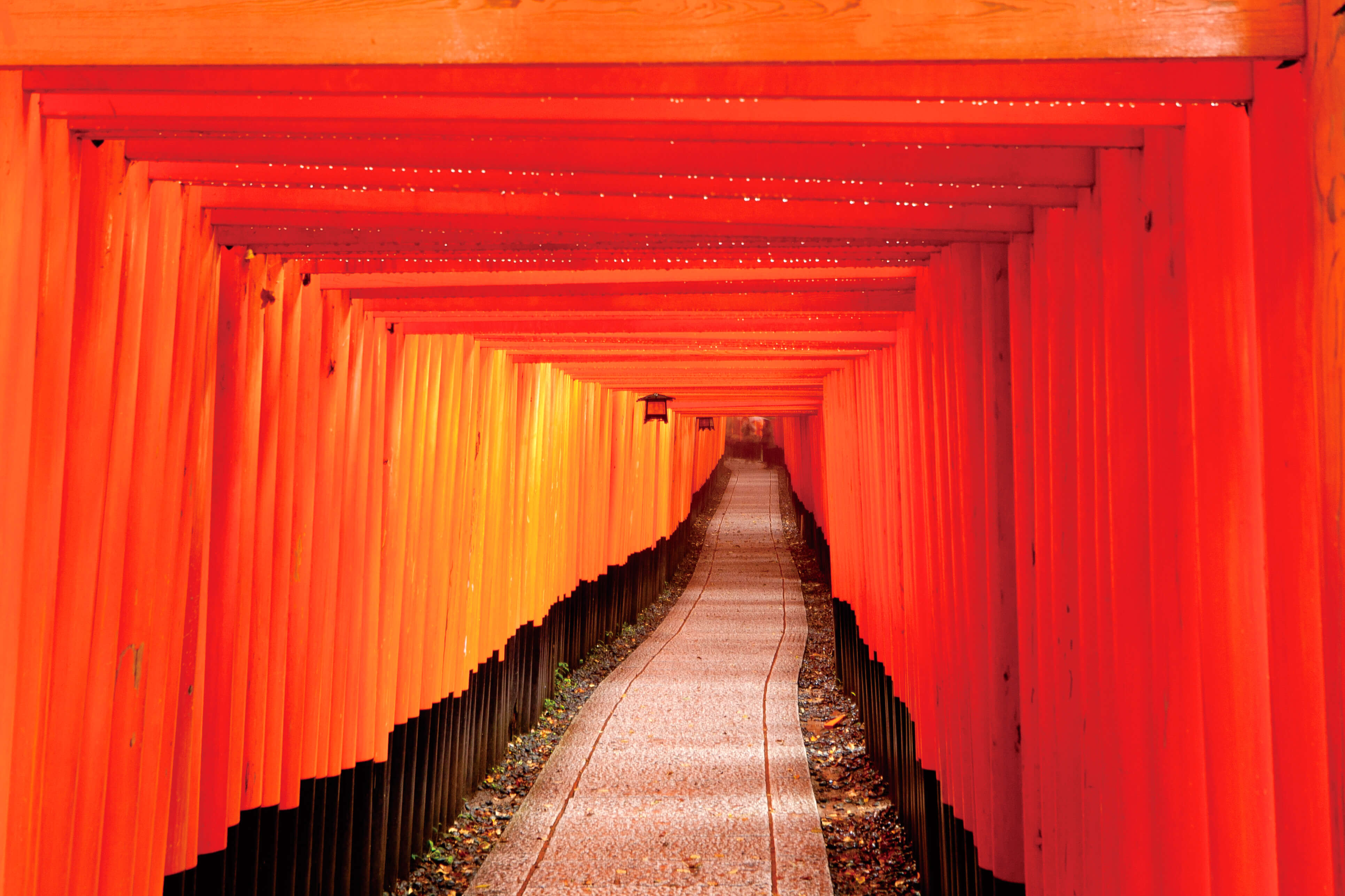 伏見稲荷神社