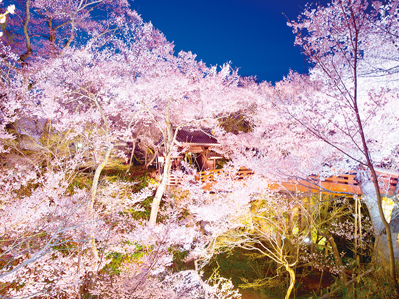 高遠城址公園 渡月橋