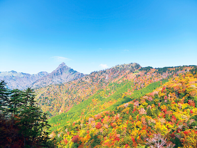 石鎚山の紅葉