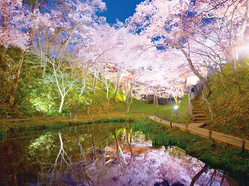 高遠城址公園 渡月橋