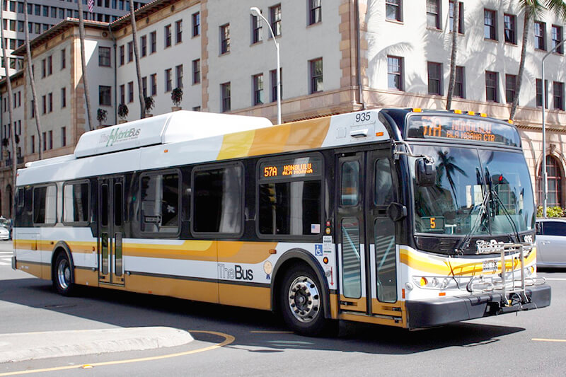 the bus