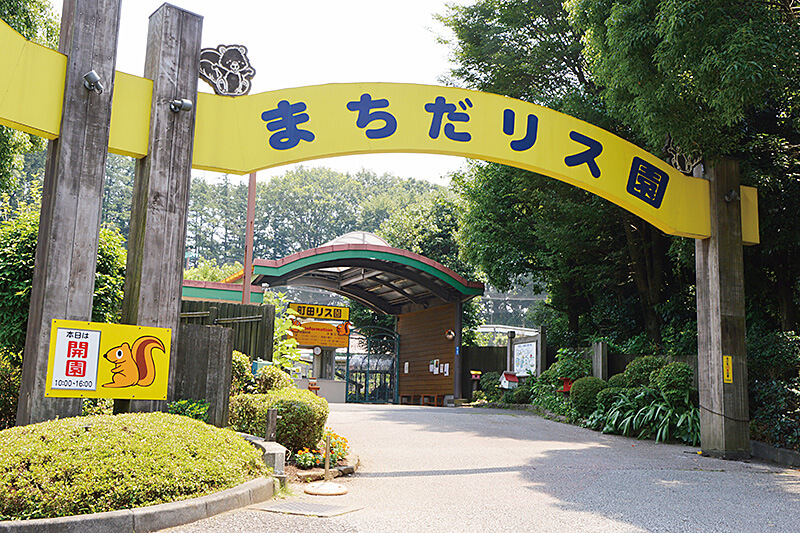 町田リス園