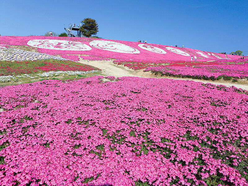 花夢の里