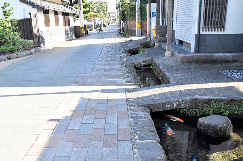 島原鯉の街