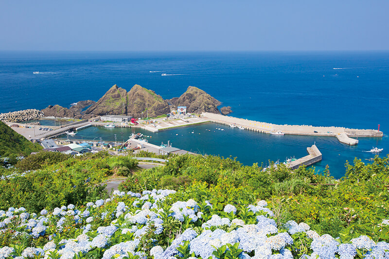 龍飛岬