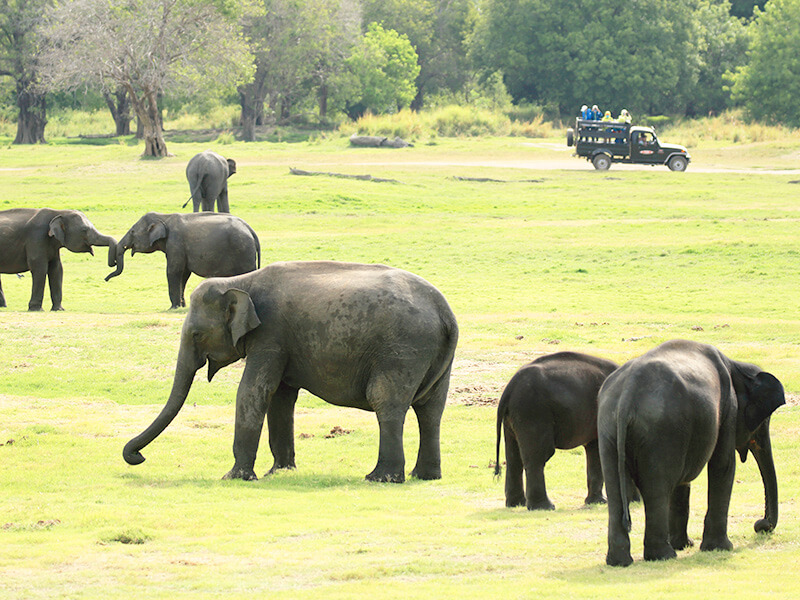 national park
