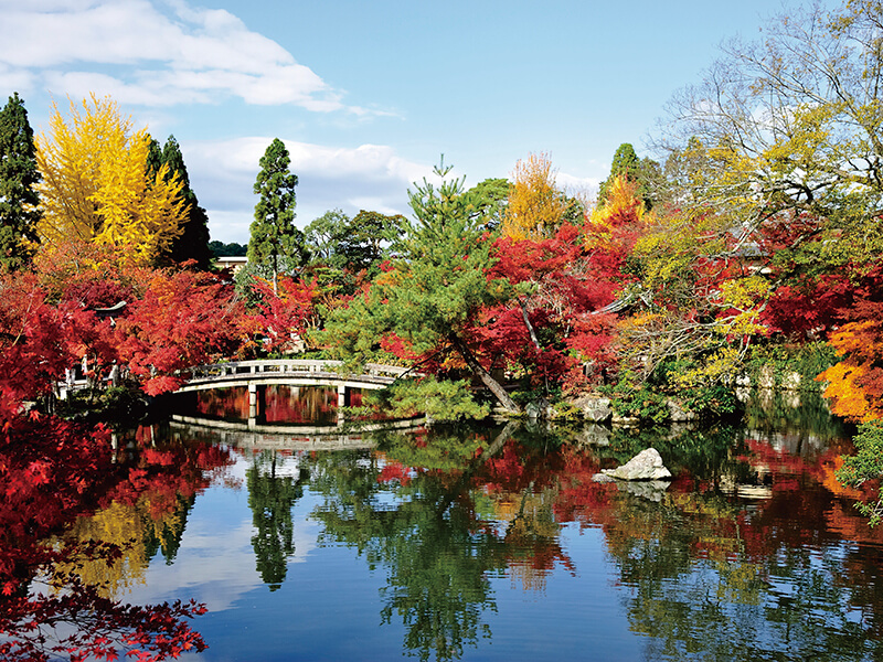 永観堂の紅葉