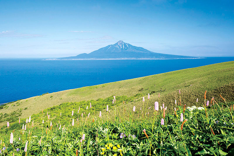 礼文島の大自然