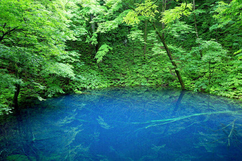 青池