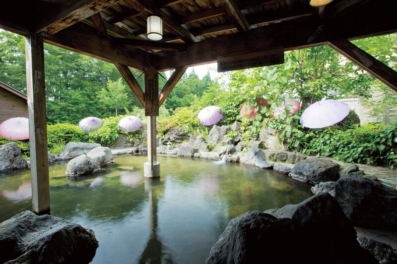 田沢湖高原プラザホテル山麓荘