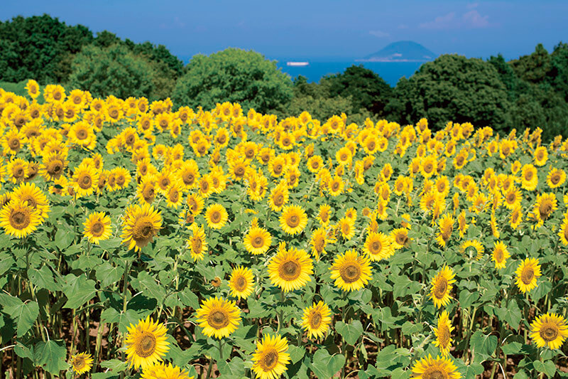 能古島