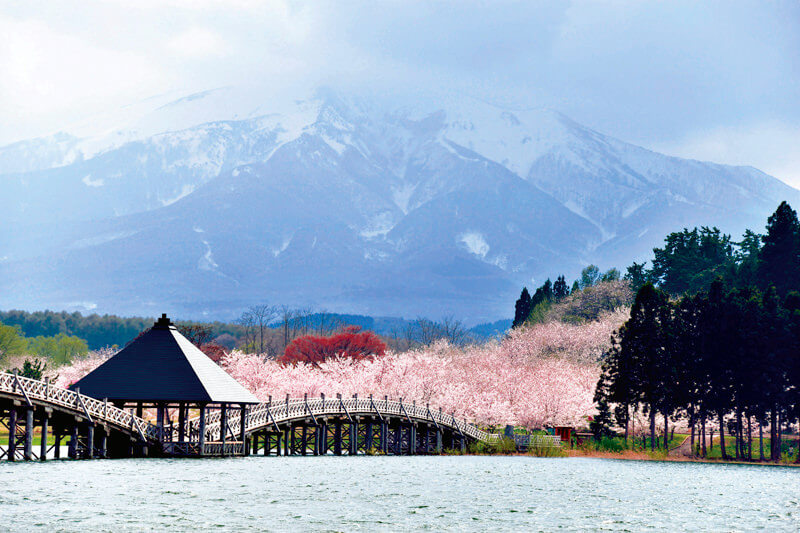 鶴がモチーフの日本一長い木造の三連太鼓橋 青森県 鶴の舞橋 で日本の絶景を感じよう トリドリ