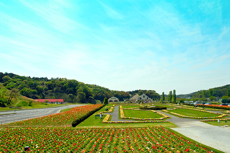東京ドイツ村