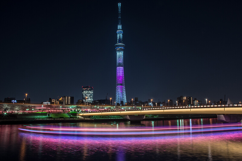 桜橋