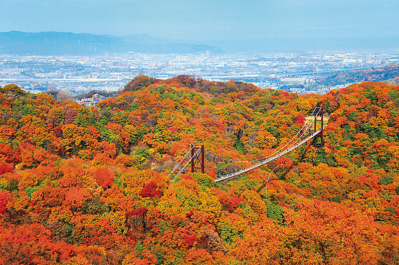 紅葉のほしだ園地