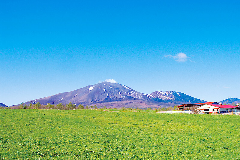 牧場と浅間山