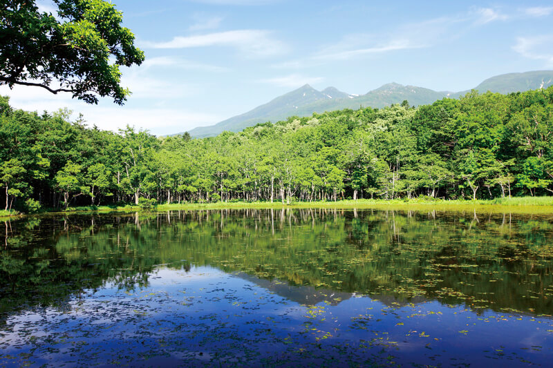知床五湖 地上遊歩道