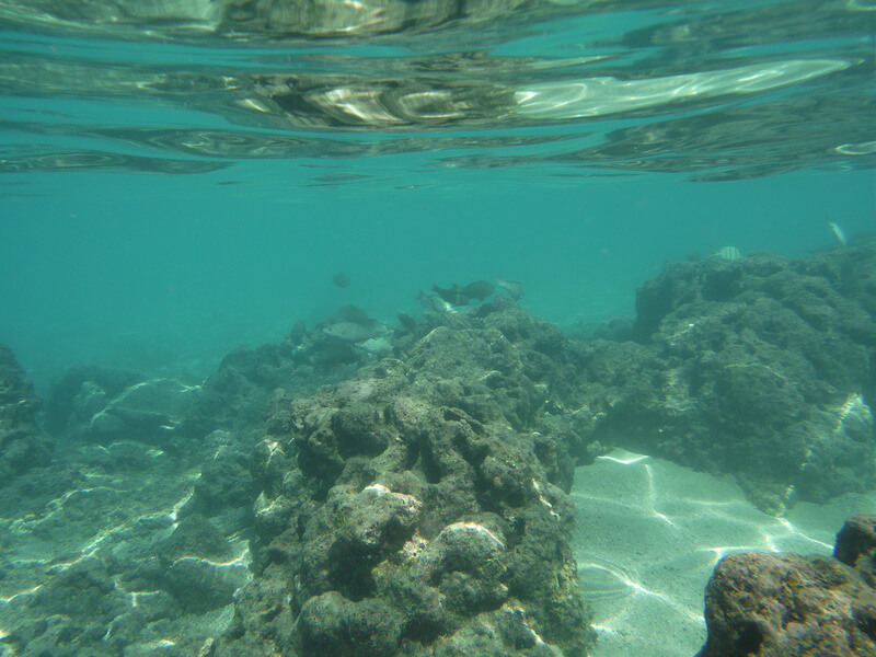 ハナウマ湾の海中