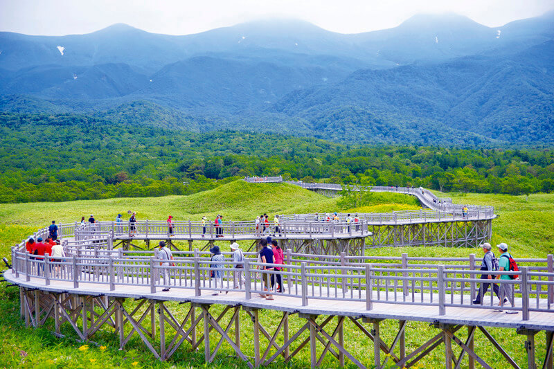 知床五湖 地上遊歩道