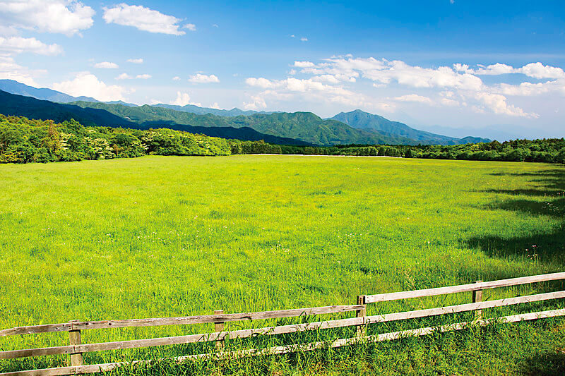清里高原