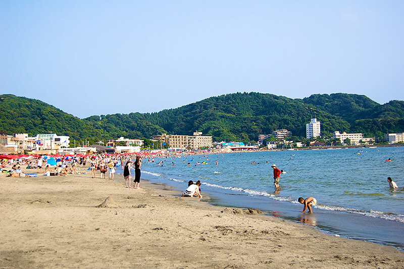 楽しい逗子海岸