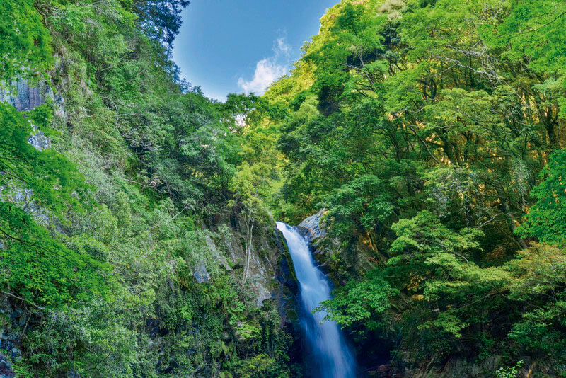 河津七滝 釜滝