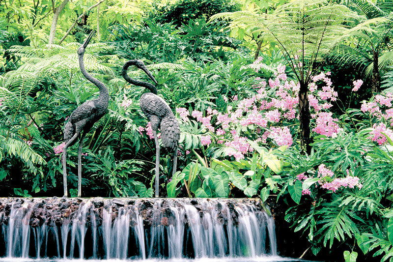 シンガポール植物園