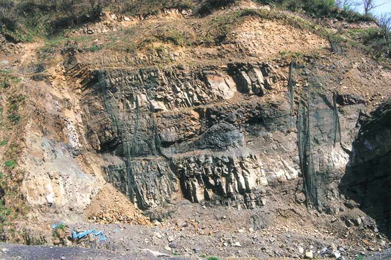 福井県立恐竜博物館 発掘現場