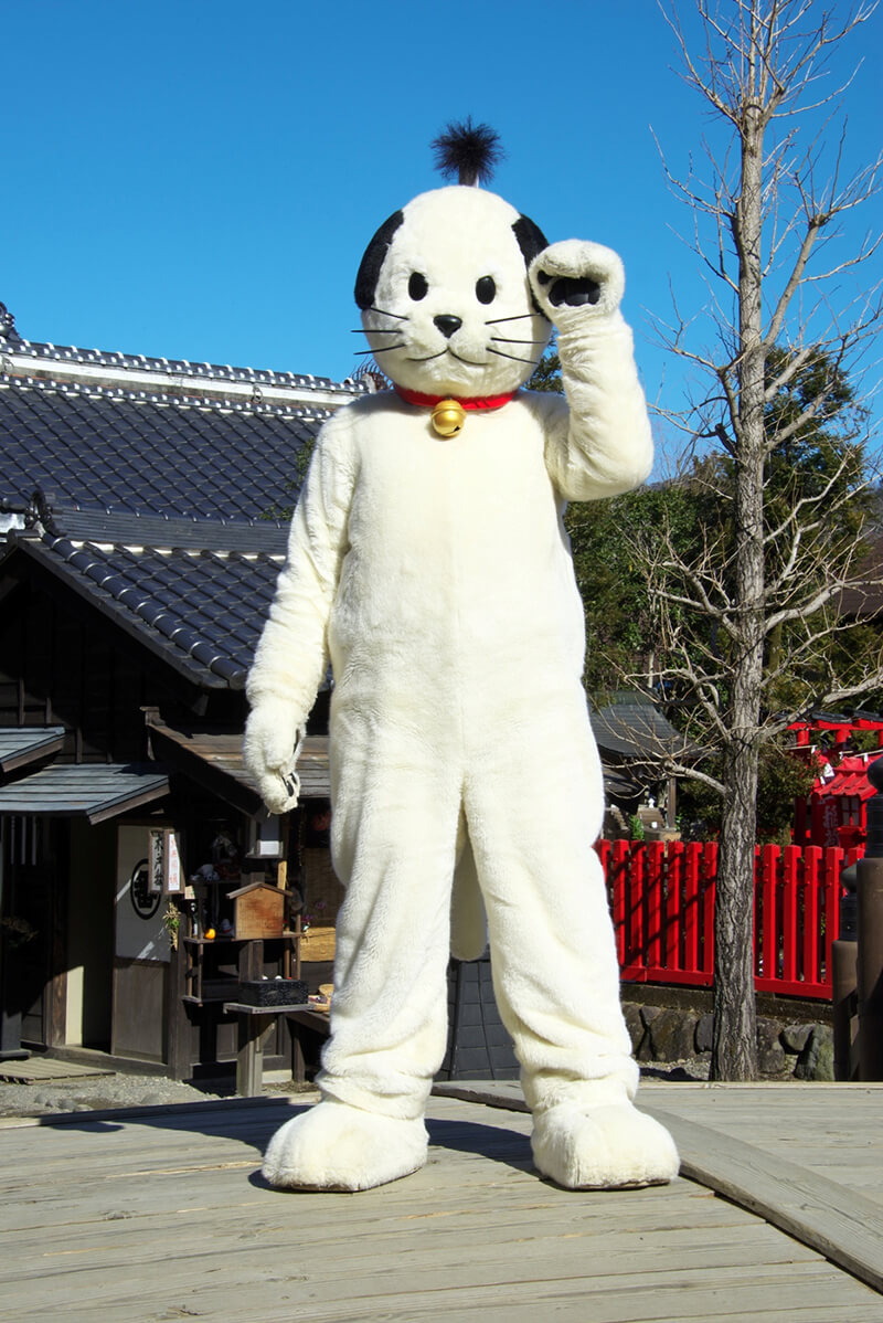 ニャンまげ