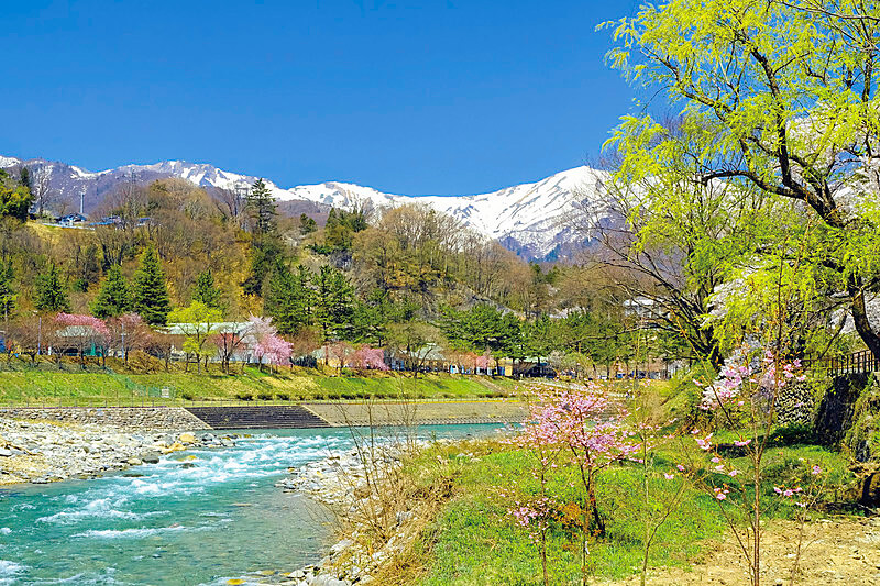 春の水上峡