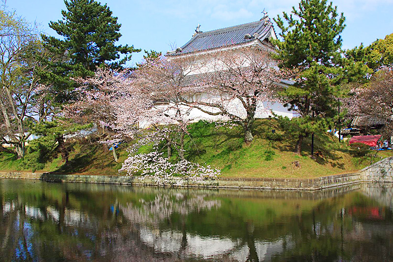 亀城公園