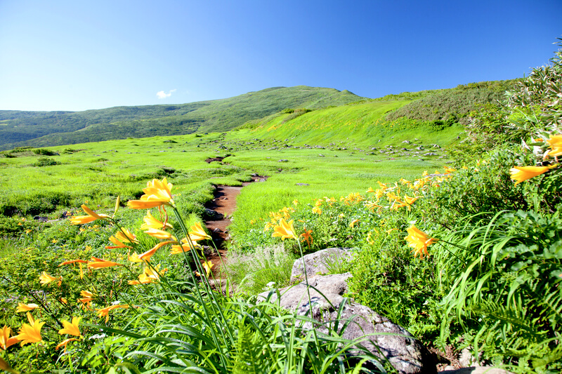 夏の弥陀ヶ原